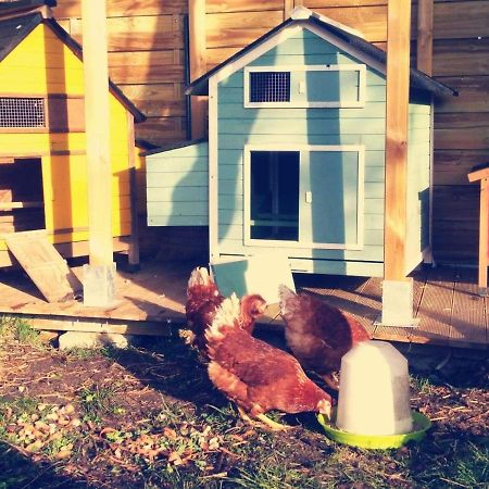 Gite Moulin De Lausseignan Barbaste Ngoại thất bức ảnh